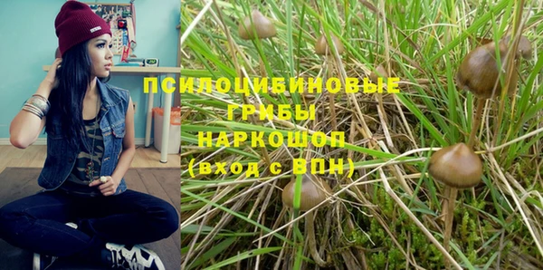 МДПВ Новозыбков